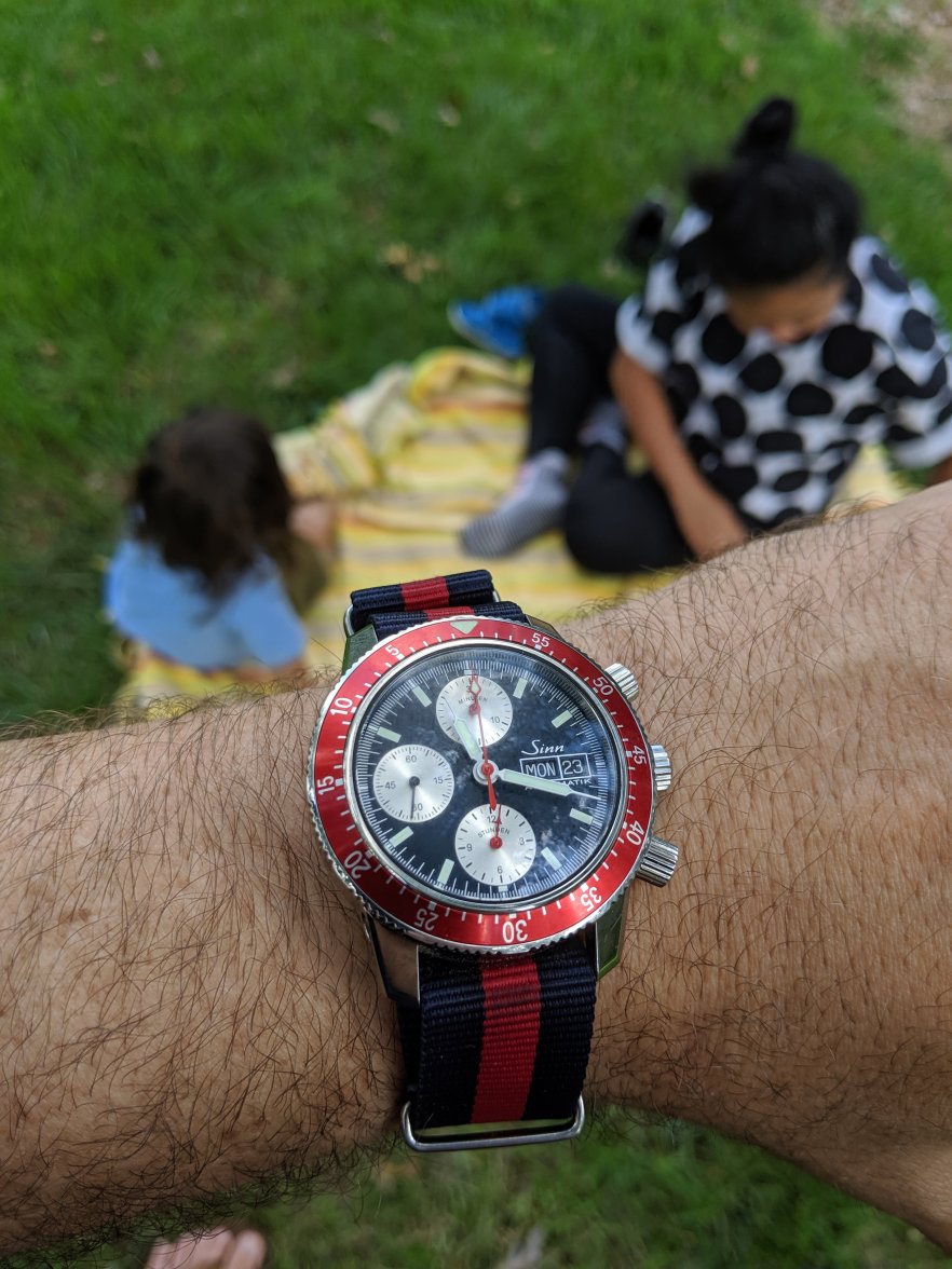 IMG_20200823_111826.jpg IMG_20200823_111826.jpg