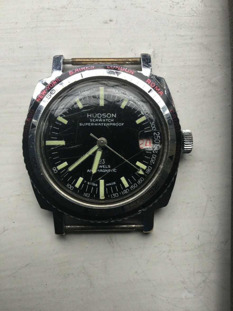 Hudson Sea Watch.jpg