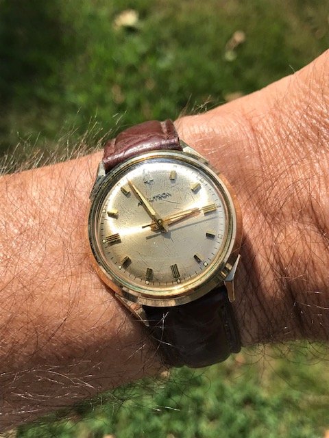 IMG_2431.jpg IMG_2431.jpg