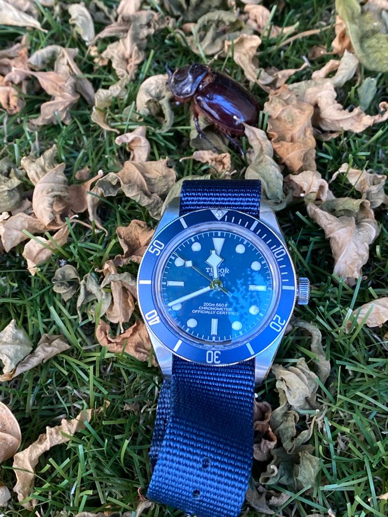 WhatsApp Image 2020-08-27 at 11.57.56 (1).jpeg