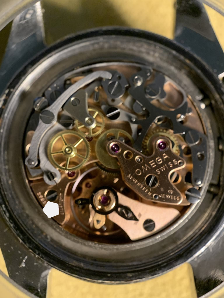 Speedy-69-ST-DON2-Mov1.JPG Speedy-69-ST-DON2-Mov1.JPG