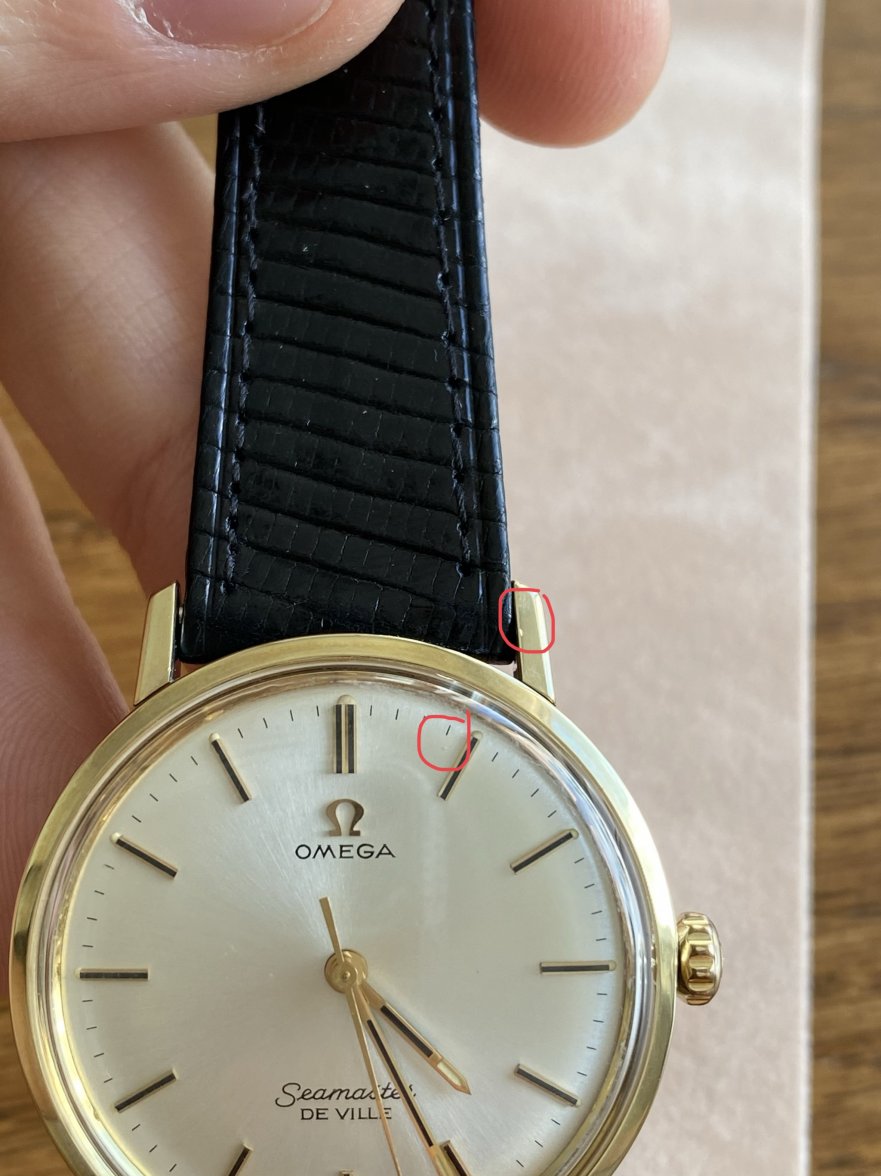 B3603639-CEB7-4C58-B199-848775FD4680.jpeg B3603639-CEB7-4C58-B199-848775FD4680.jpeg