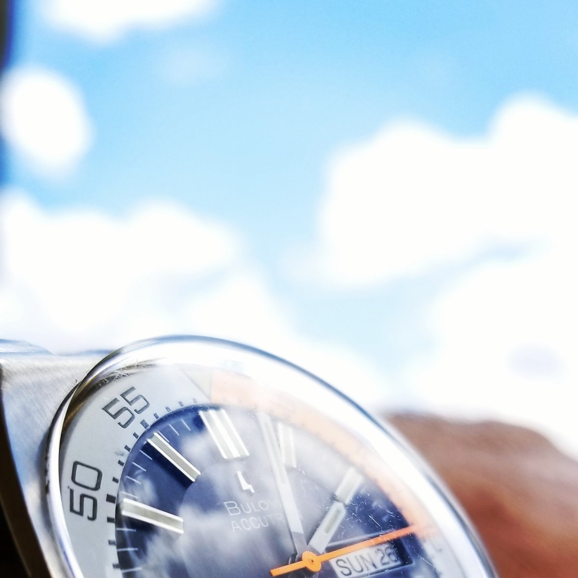 Deap sea balarina.jpg