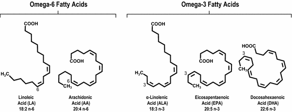 omega-fatty-acids.png omega-fatty-acids.png