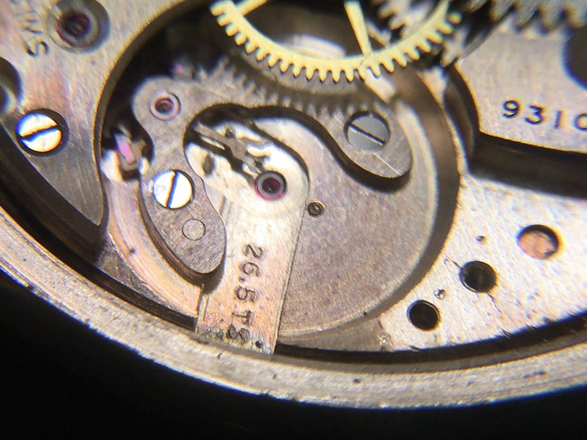 1AEEF362-7934-43A0-9B94-816556C9A92E.jpeg 1AEEF362-7934-43A0-9B94-816556C9A92E.jpeg