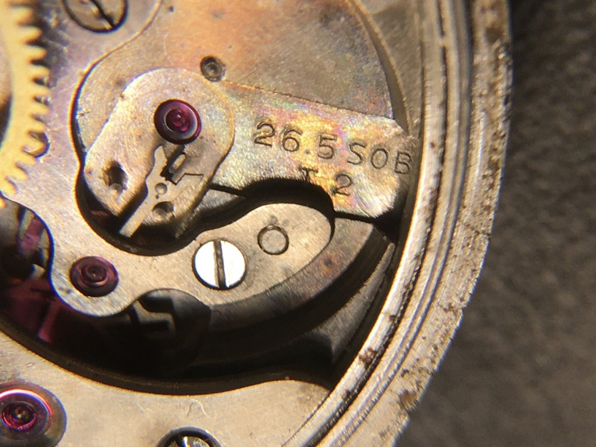 96E9474B-C392-44DE-B641-5394D178D3BC.jpeg 96E9474B-C392-44DE-B641-5394D178D3BC.jpeg