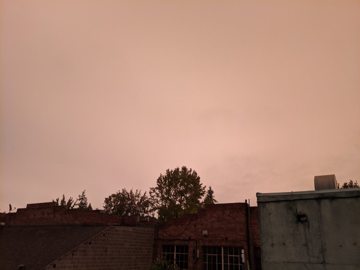 MVIMG_20200909_091915.jpg