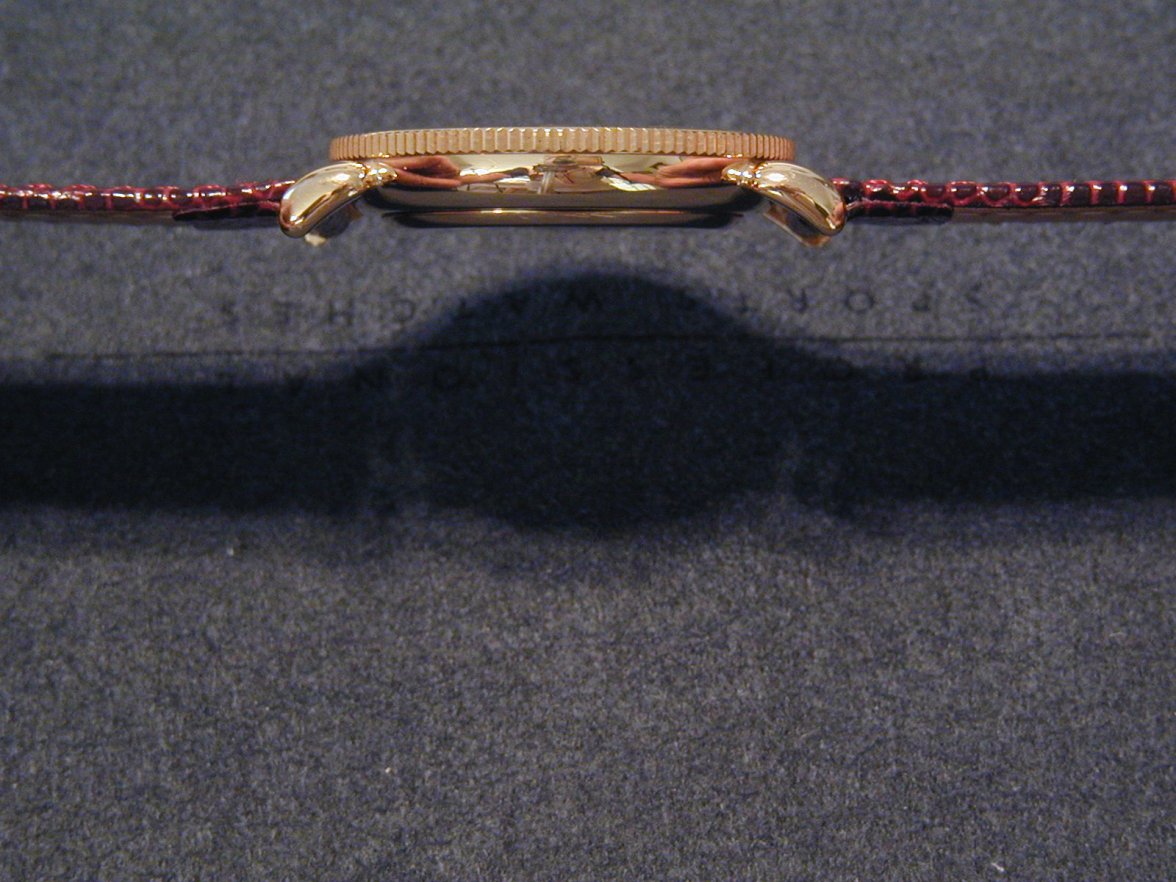 P8040037.jpg