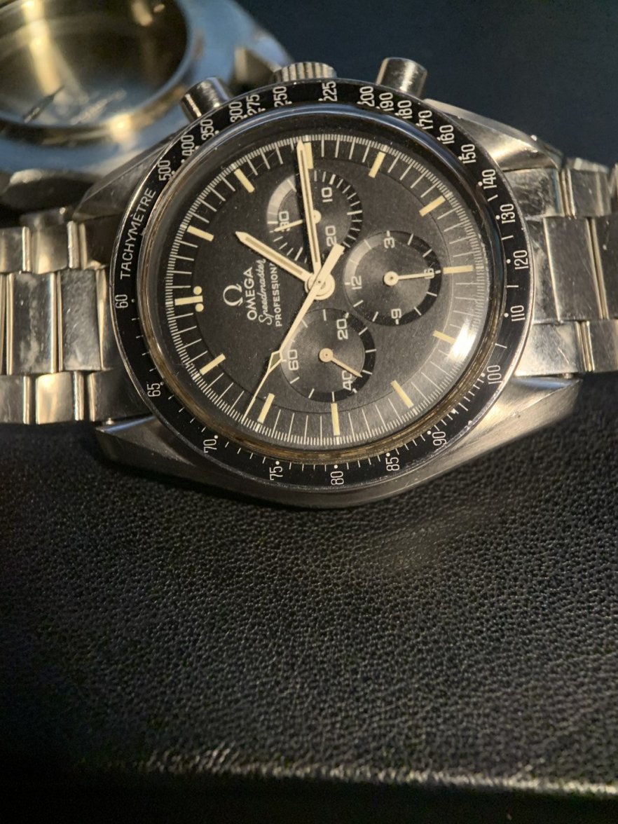 69-ST-Speedy-DON1 (Large).JPG 69-ST-Speedy-DON1 (Large).JPG