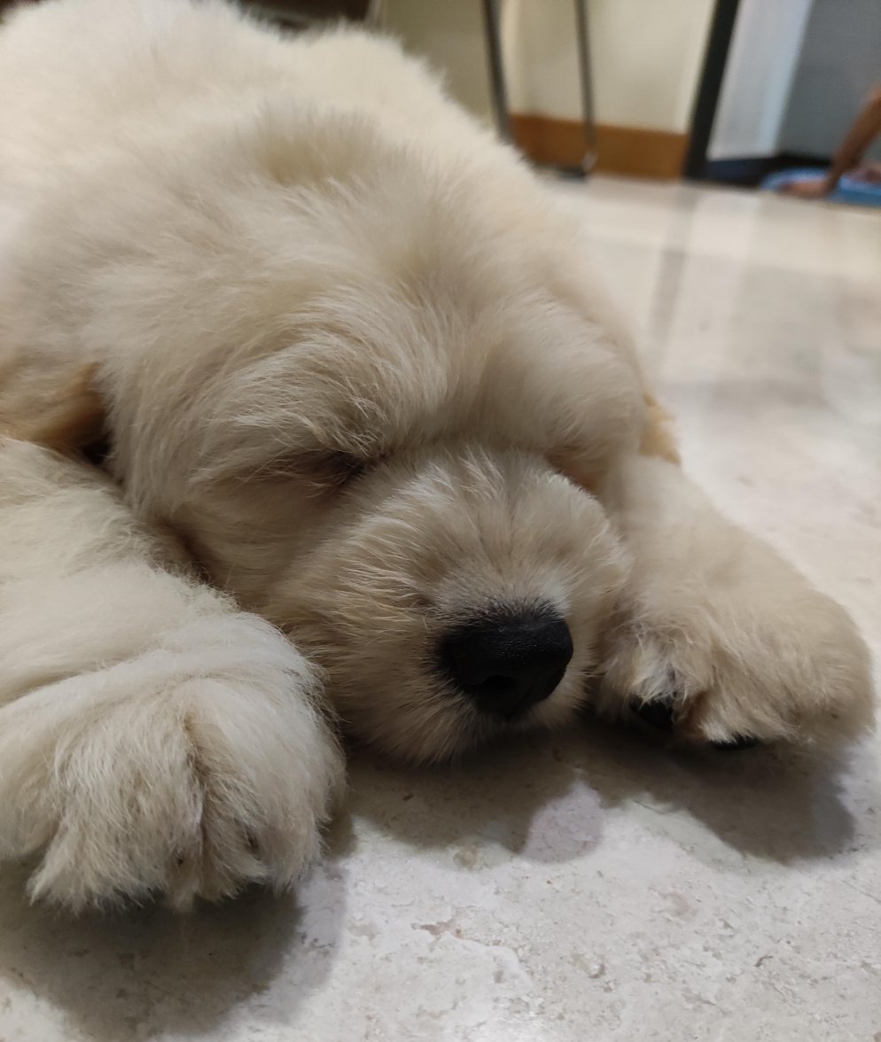 Tobi YWW 200912 P1.jpg