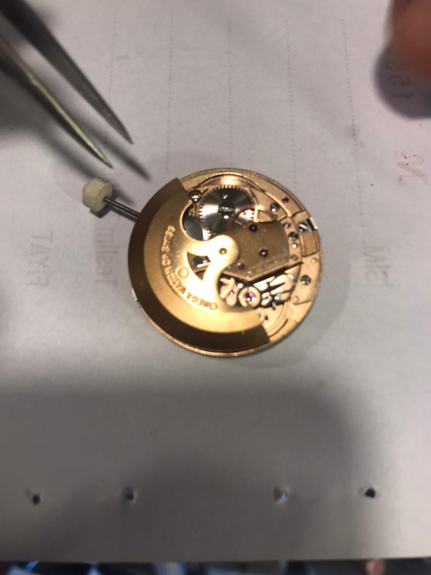 WhatsApp Image 2020-09-13 at 00.58.50.jpeg