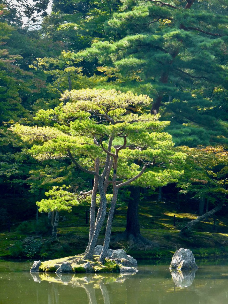 P1000574.jpeg P1000574.jpeg