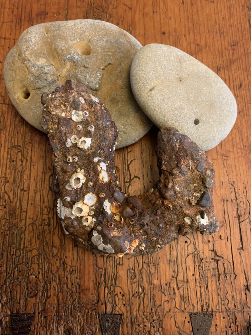 C51DE89E-47FD-4494-AAFB-3F8D08DF396F.jpeg C51DE89E-47FD-4494-AAFB-3F8D08DF396F.jpeg