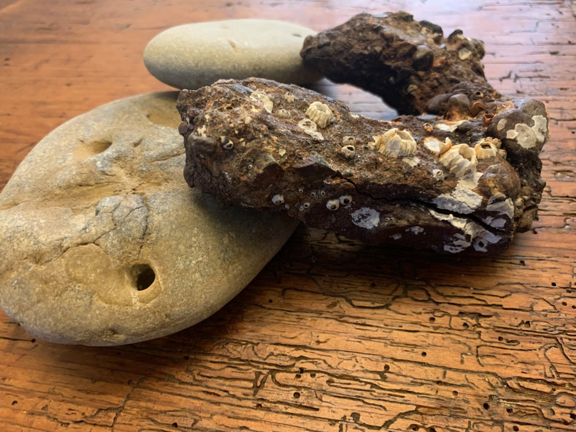 2AC42DE8-490B-4E98-B418-08EC687E5CD4.jpeg 2AC42DE8-490B-4E98-B418-08EC687E5CD4.jpeg