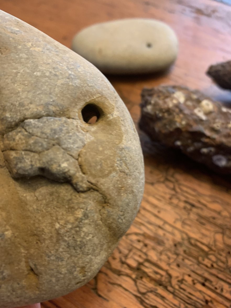 5241D286-3EE7-4FD5-B3A0-4CC5D0171BA1.jpeg 5241D286-3EE7-4FD5-B3A0-4CC5D0171BA1.jpeg