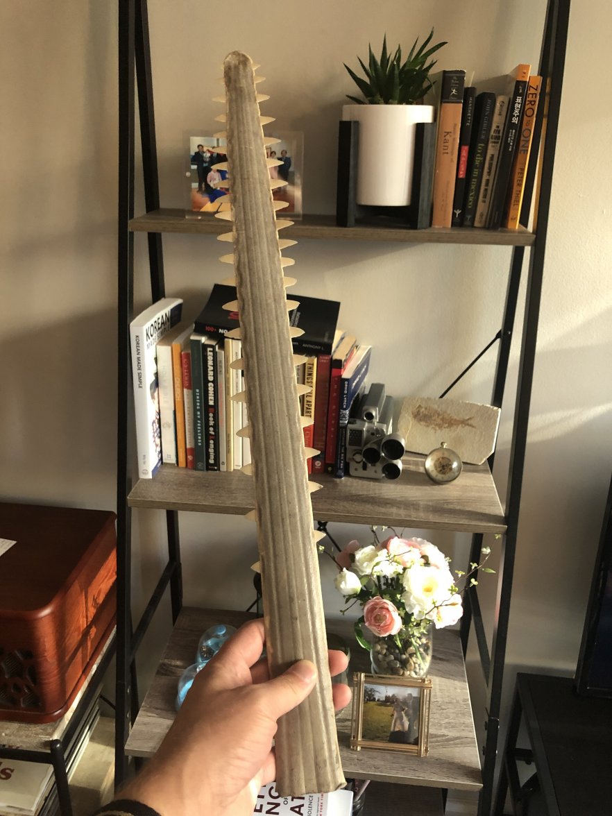 FACCC994-7F27-4229-8E6A-551D7E944FE1.jpeg FACCC994-7F27-4229-8E6A-551D7E944FE1.jpeg