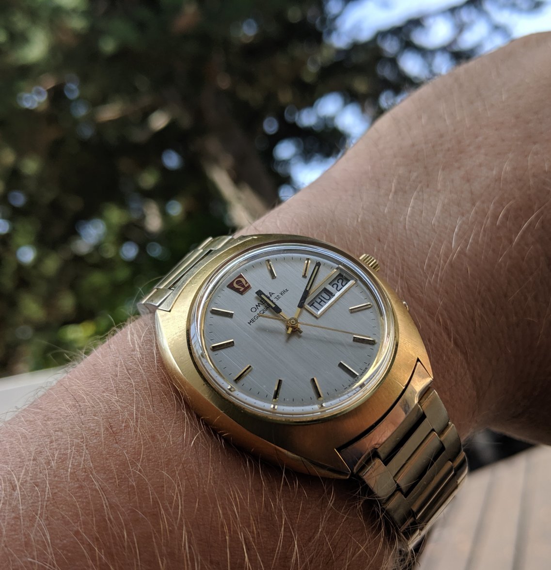 omega-tree.jpg omega-tree.jpg