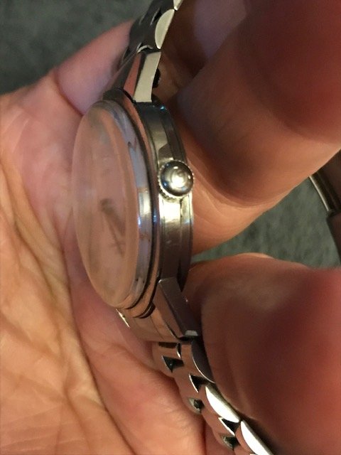 IMG_2223.jpg IMG_2223.jpg