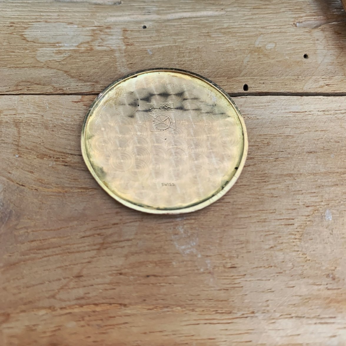 554935A2-D808-4D60-83BF-C36887E3370E.jpeg 554935A2-D808-4D60-83BF-C36887E3370E.jpeg