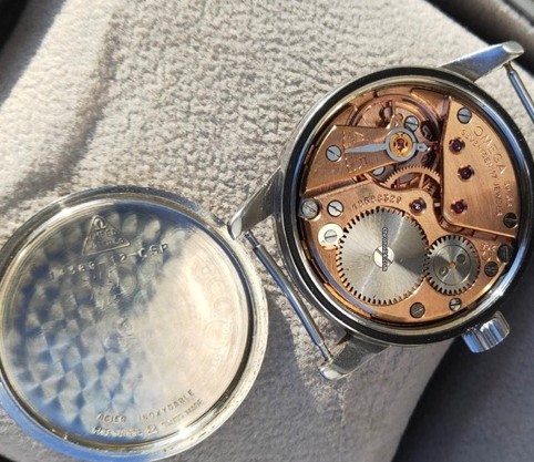 E8172005-1A30-4C82-9B26-95E9A64BE61C (2).jpeg