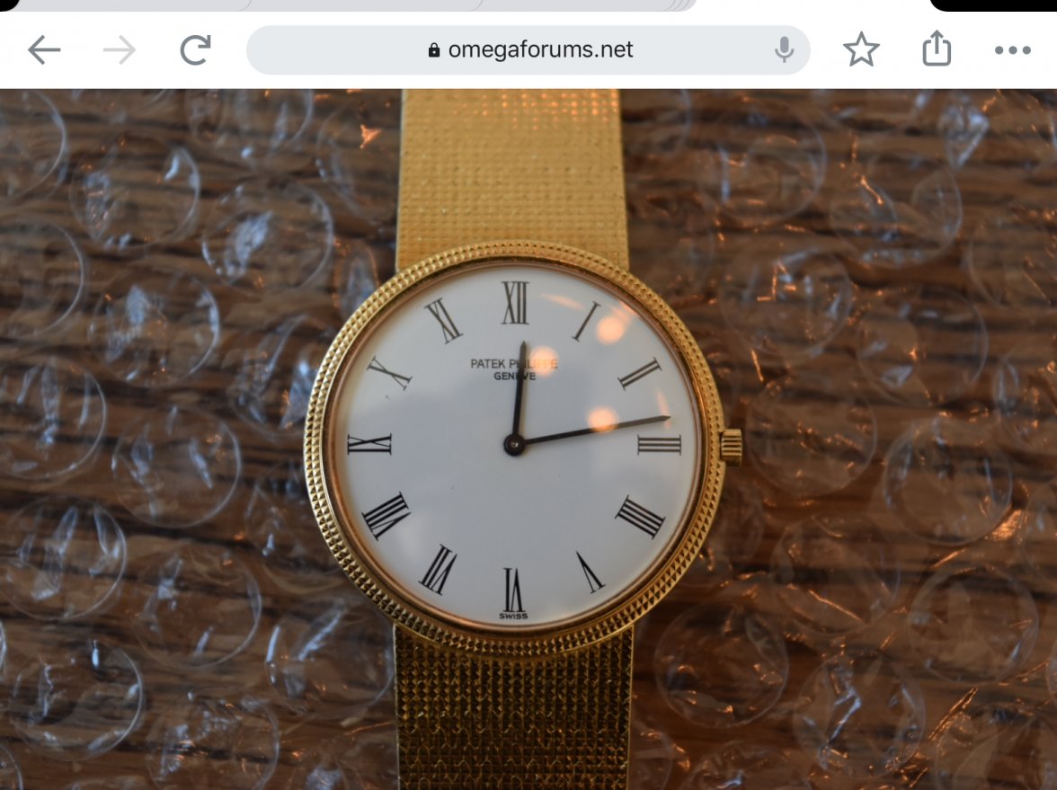 AF20206B-3704-4521-8D9E-FC50DCF58A31.jpeg AF20206B-3704-4521-8D9E-FC50DCF58A31.jpeg