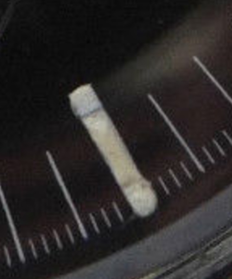 Screen Shot 2015-03-04 at 6.29.36 am.jpg