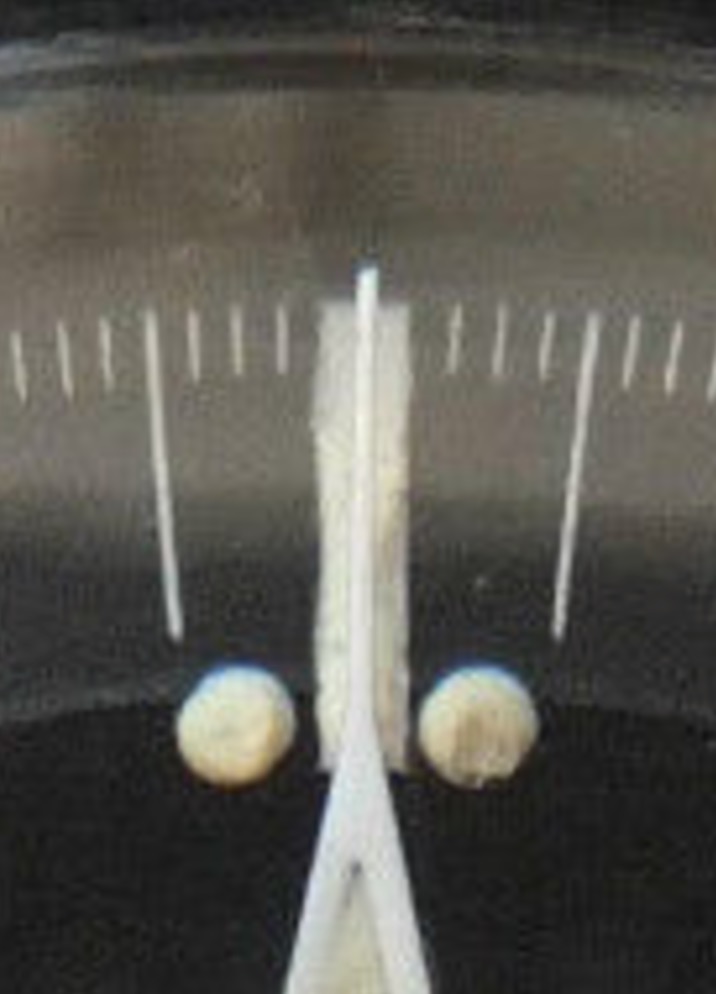 Screen Shot 2015-03-04 at 6.29.12 am.jpg