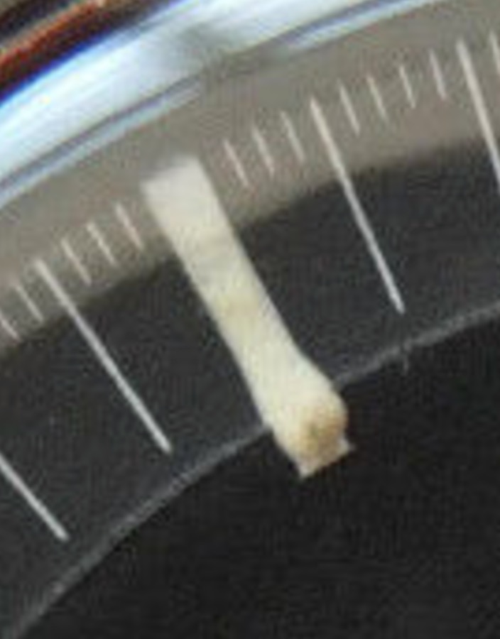 Screen Shot 2015-03-04 at 6.29.09 am.jpg