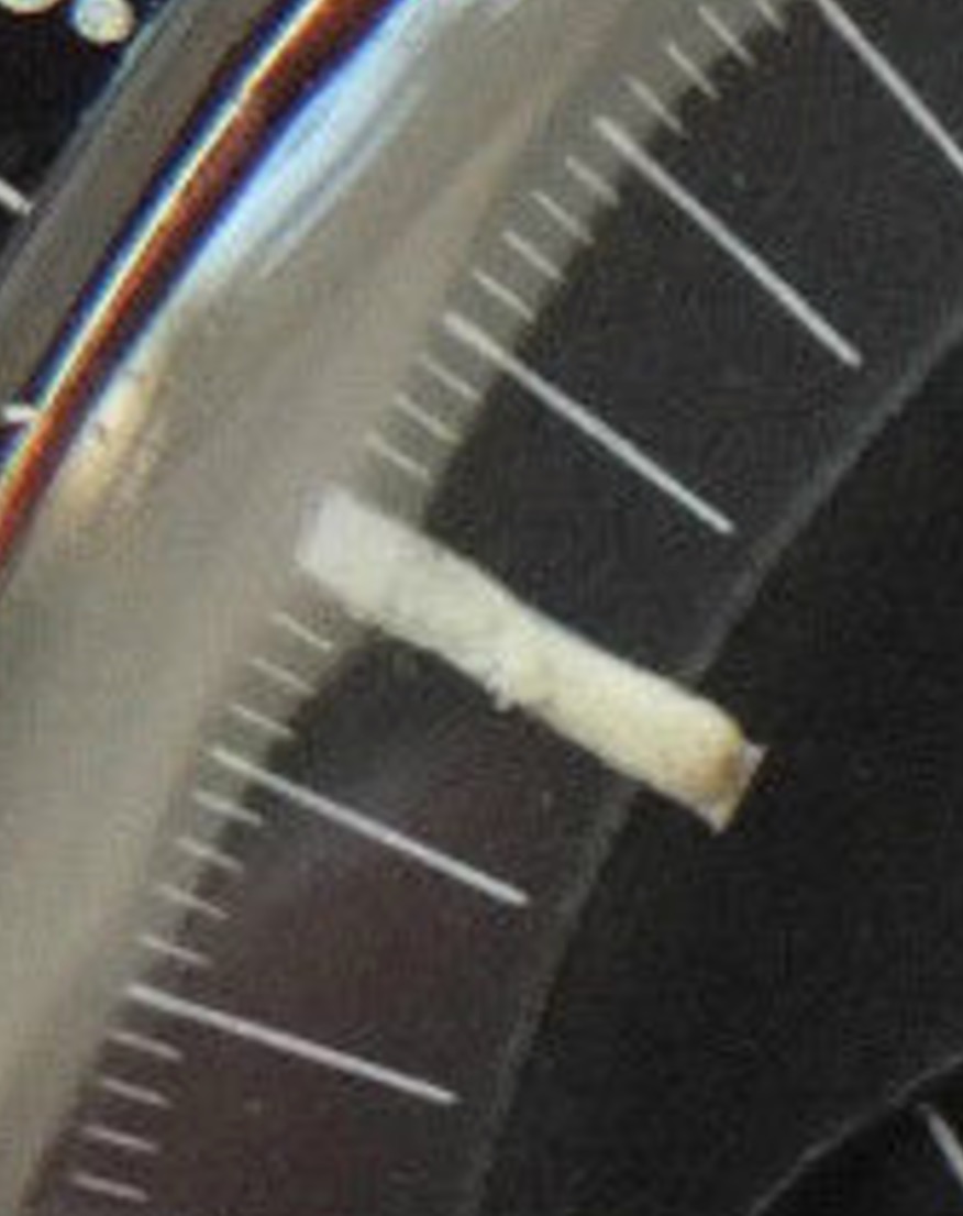 Screen Shot 2015-03-04 at 6.29.03 am.jpg