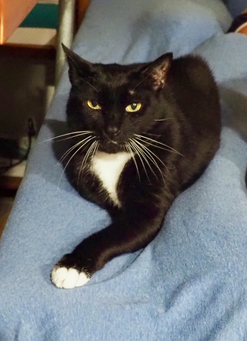 7D808233-A174-456E-945F-6D2869588EEC.jpeg 7D808233-A174-456E-945F-6D2869588EEC.jpeg