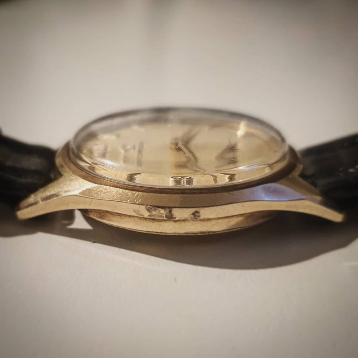 IMG_20200926_172855_825.jpg IMG_20200926_172855_825.jpg