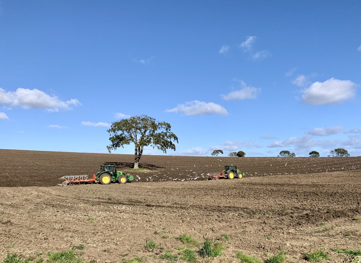 30FF7A88-09DC-4A36-9F42-F8A7589D0B0E_1_201_a.jpeg 30FF7A88-09DC-4A36-9F42-F8A7589D0B0E_1_201_a.jpeg