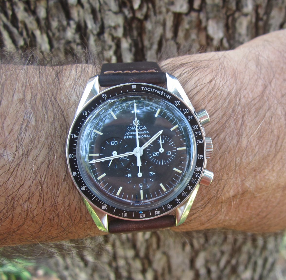 IMG_7517.jpg IMG_7517.jpg