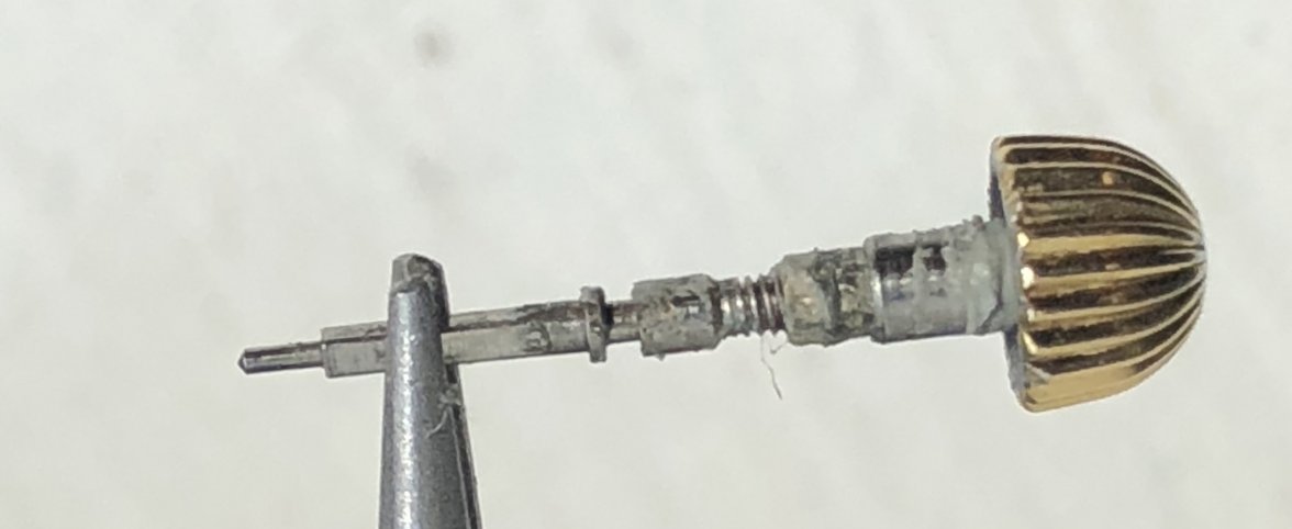new crown & stem.jpg