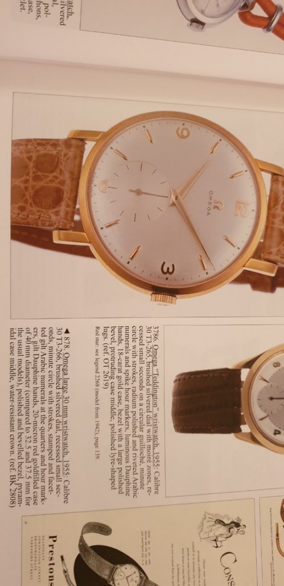 omega_6335676.jpg omega_6335676.jpg