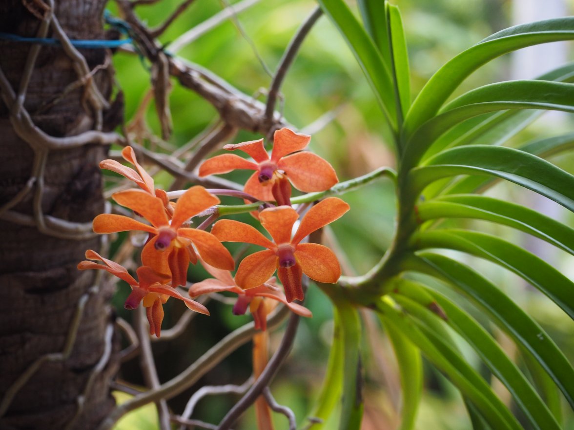 FC69EB14-8AB8-4561-AF49-004EC1EB328E.jpeg FC69EB14-8AB8-4561-AF49-004EC1EB328E.jpeg