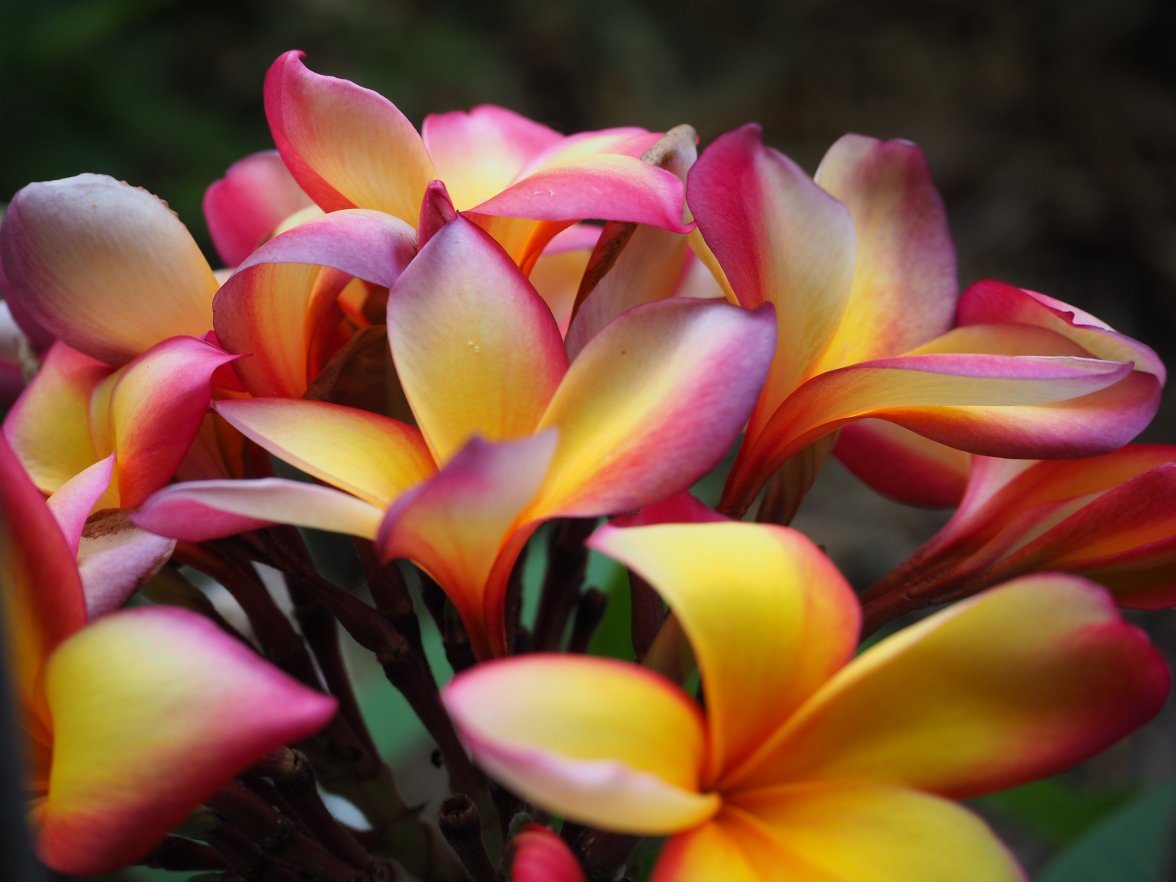 A9D0DF49-C54D-4B0D-BA80-823515A00E25.jpeg A9D0DF49-C54D-4B0D-BA80-823515A00E25.jpeg