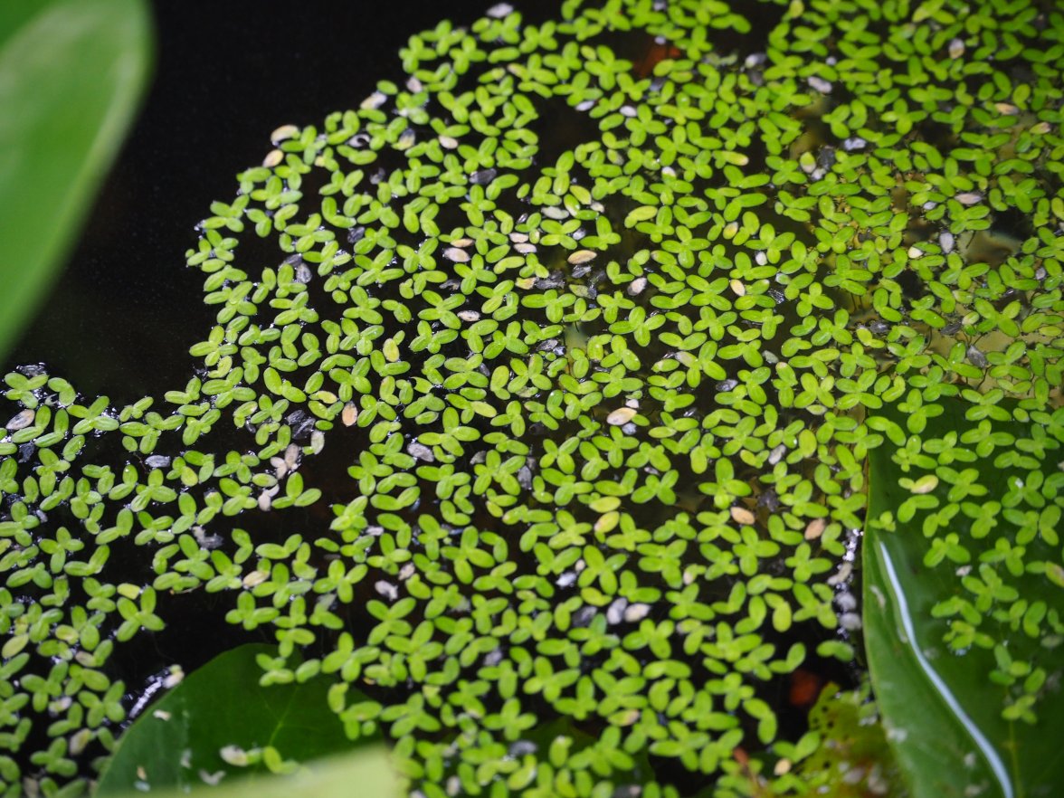 2200D502-3581-4A64-B6D0-30018DD8F539.jpeg 2200D502-3581-4A64-B6D0-30018DD8F539.jpeg