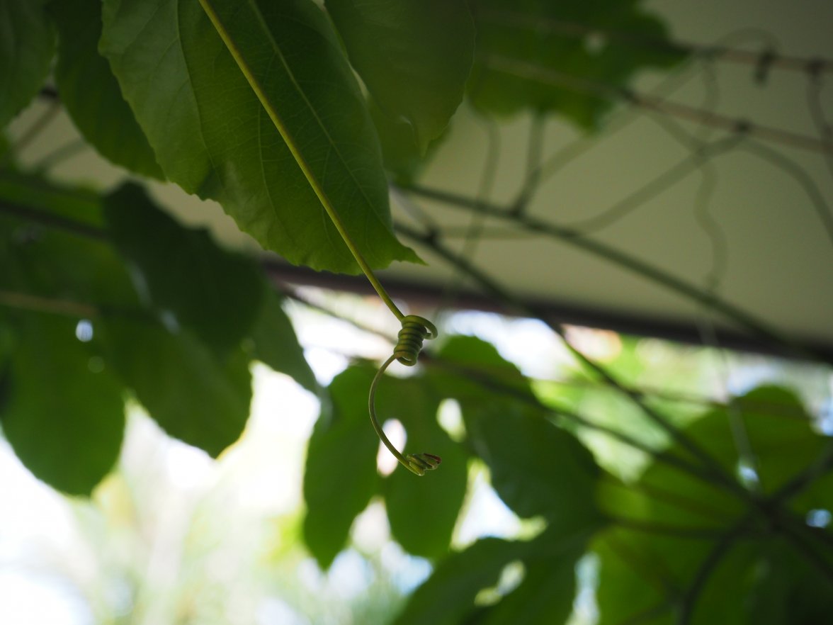 81FEFCA8-F84E-4273-9705-2E3AAA99C9B4.jpeg 81FEFCA8-F84E-4273-9705-2E3AAA99C9B4.jpeg