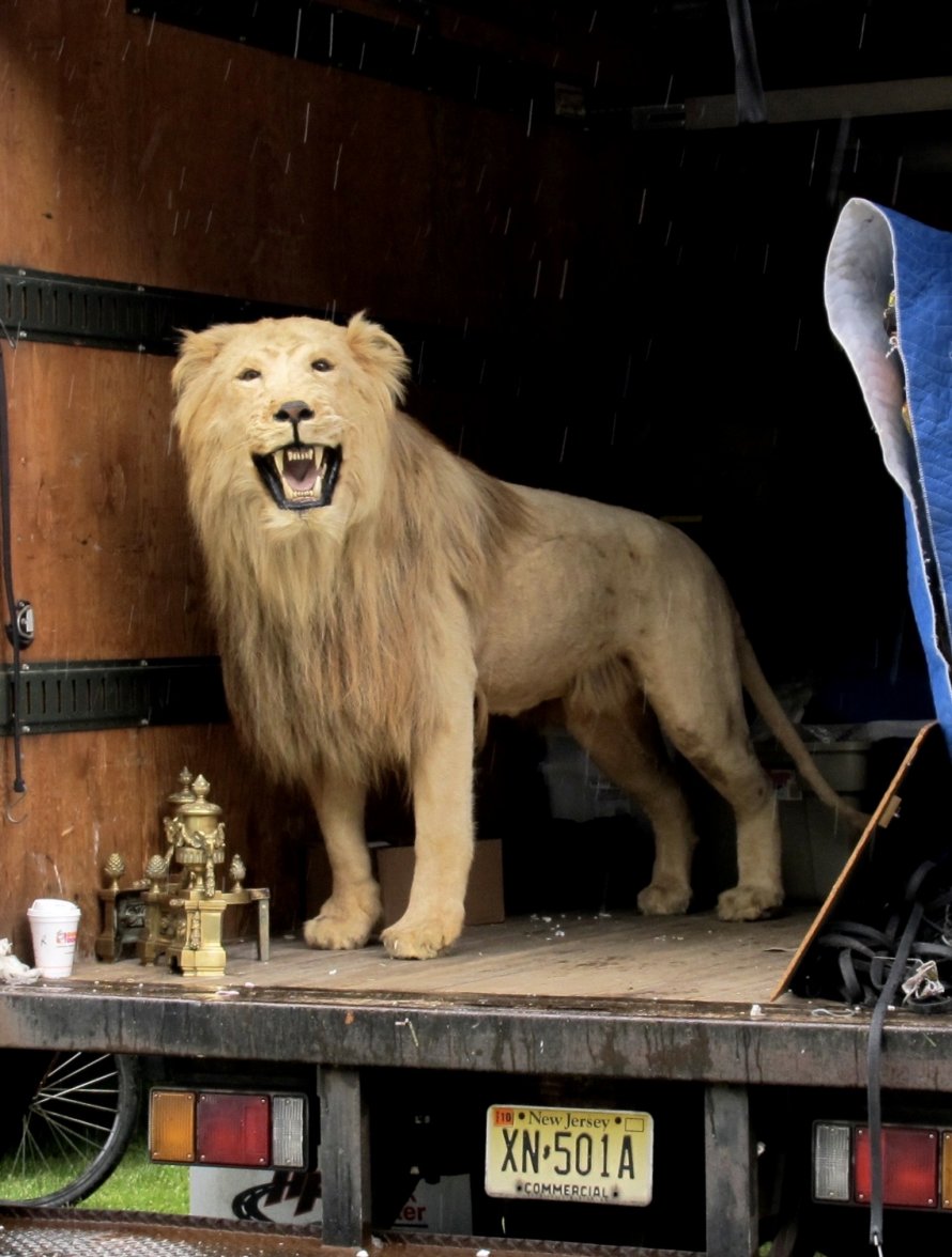 IMG_0322.jpeg IMG_0322.jpeg