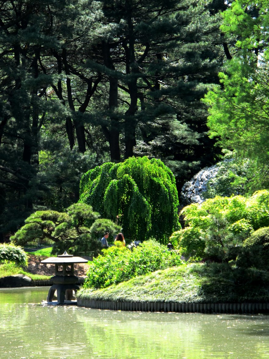 IMG_0253_2.jpeg IMG_0253_2.jpeg