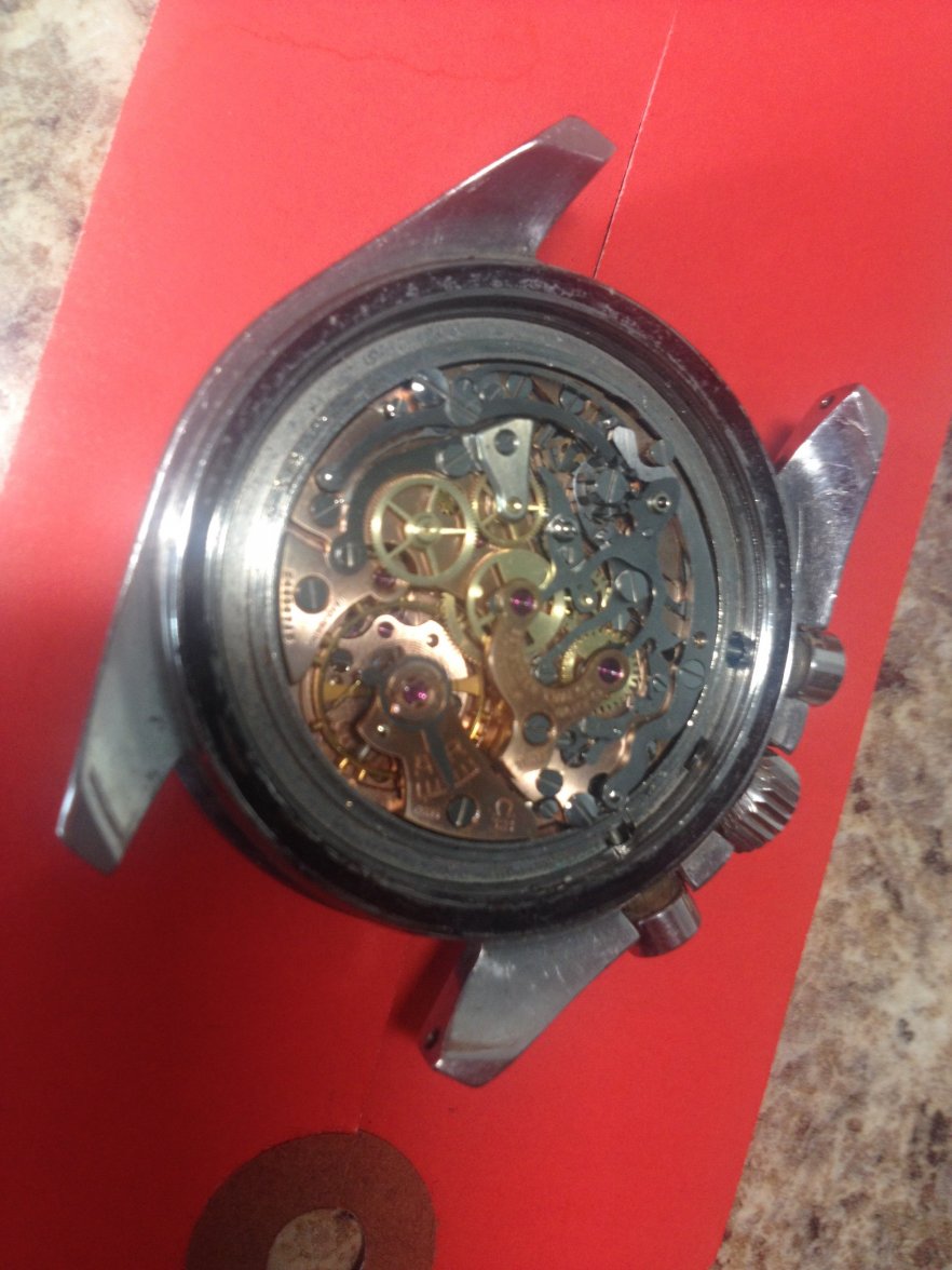 3BB9DD8B-72D3-4F1A-BCD0-E7809A000735.jpeg 3BB9DD8B-72D3-4F1A-BCD0-E7809A000735.jpeg