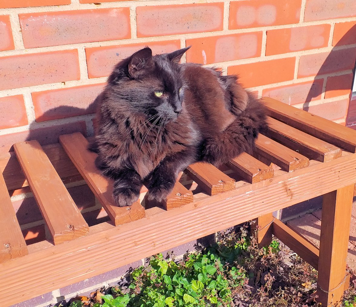 Last Sunshine 01 - Copy.jpg