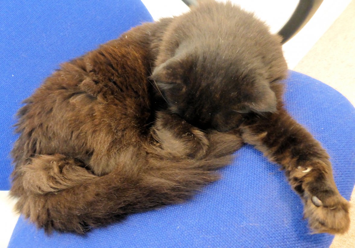 Wake me in May 01 - Copy.jpg