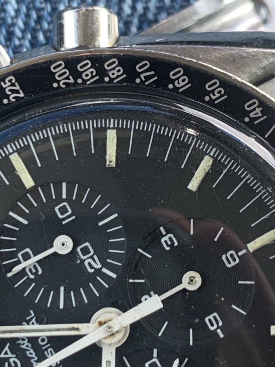 2EDB82AA-8B0B-4FDD-A1BC-2880B849CD36.jpeg 2EDB82AA-8B0B-4FDD-A1BC-2880B849CD36.jpeg