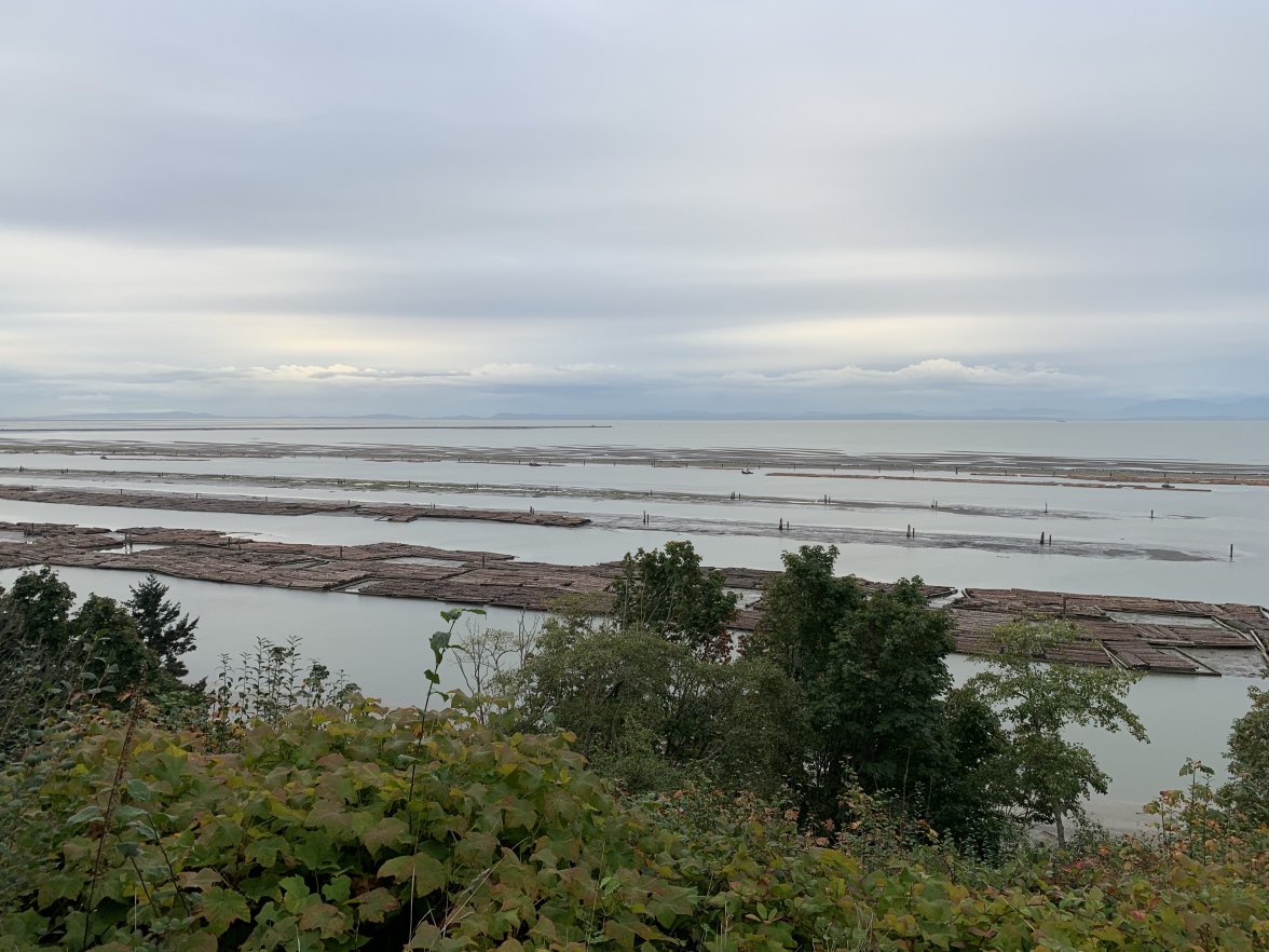 F5C7C8D0-44C3-408F-BA6F-27C2F1A8988B.jpeg F5C7C8D0-44C3-408F-BA6F-27C2F1A8988B.jpeg