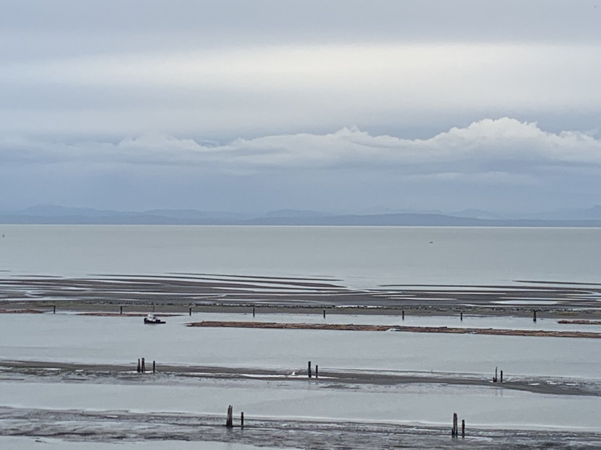 E63FA221-E2D2-4B6A-BFBA-681ADD21E4B7.jpeg E63FA221-E2D2-4B6A-BFBA-681ADD21E4B7.jpeg