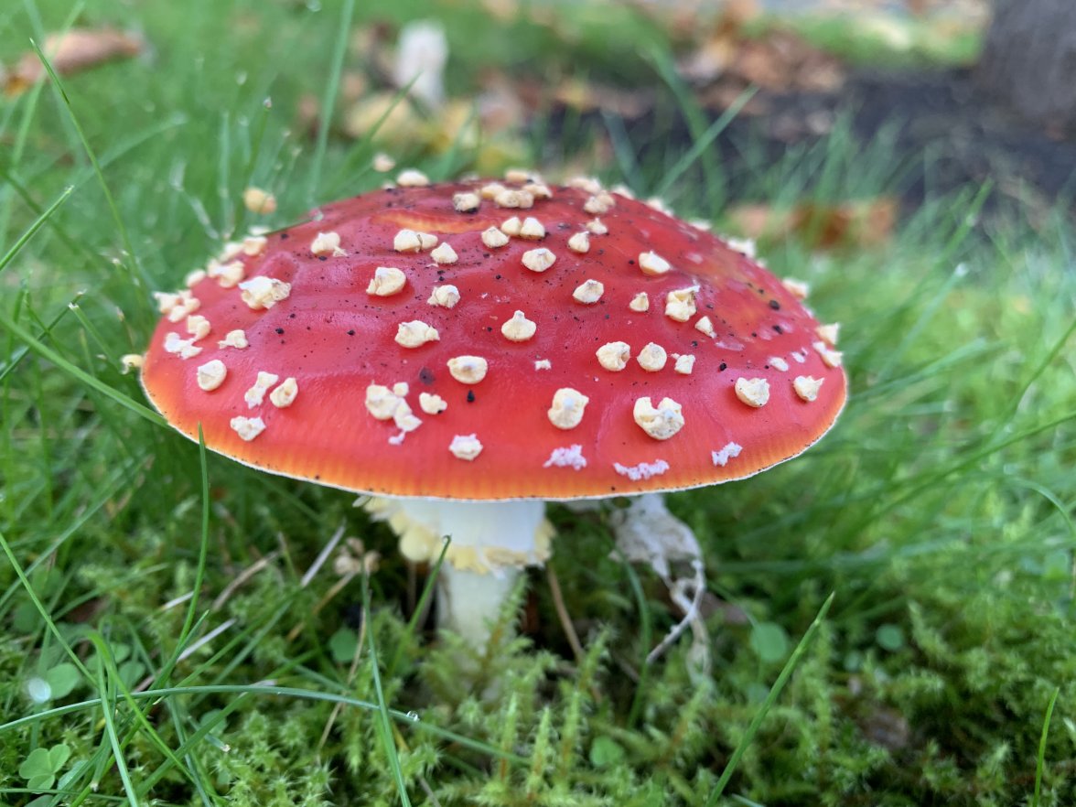 405596A1-B399-4EC1-BF9C-2FAAFDE79F97.jpeg 405596A1-B399-4EC1-BF9C-2FAAFDE79F97.jpeg