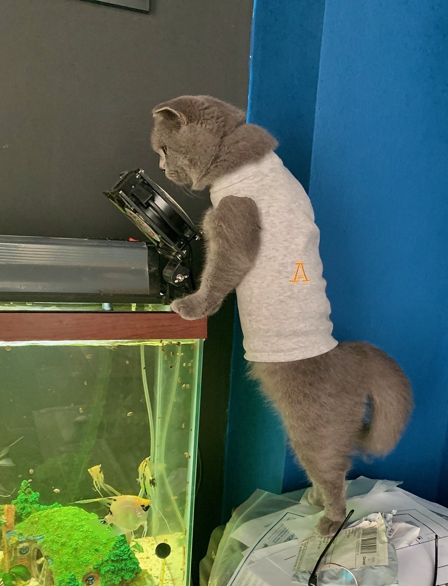 IMG_0421.jpeg IMG_0421.jpeg