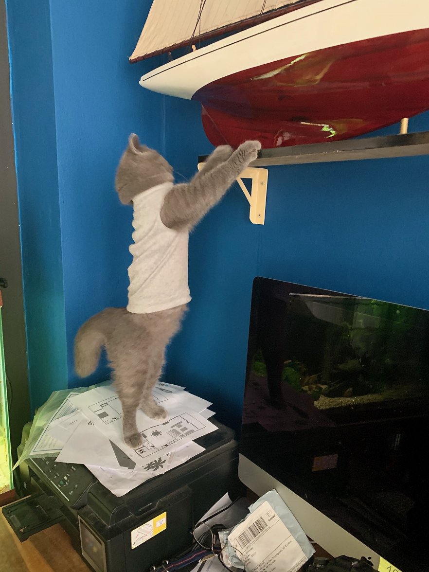 IMG_0423.jpeg IMG_0423.jpeg